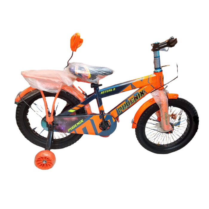 Phoenix Cycle