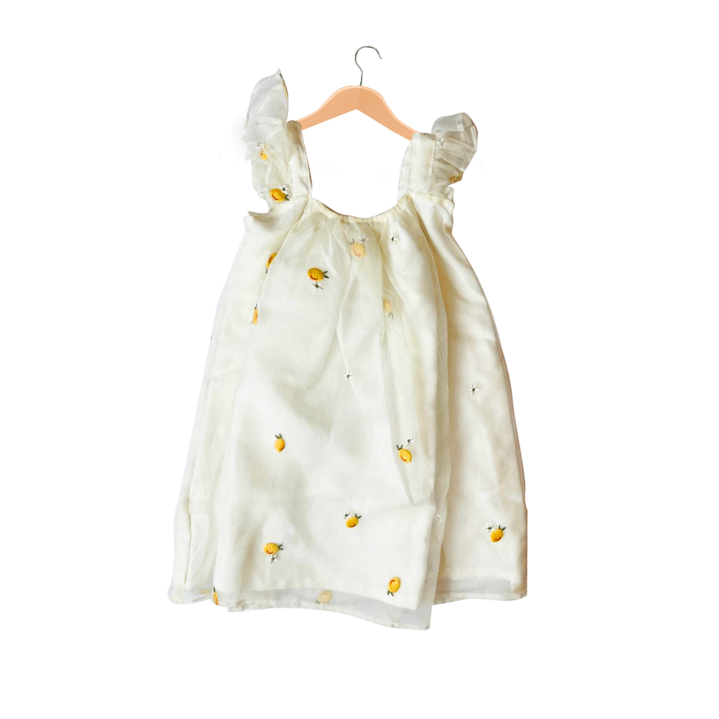 Girls Fashion Frock cream Embroidery