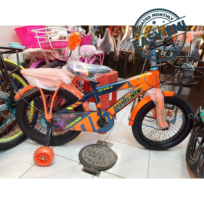 Phoenix Cycle