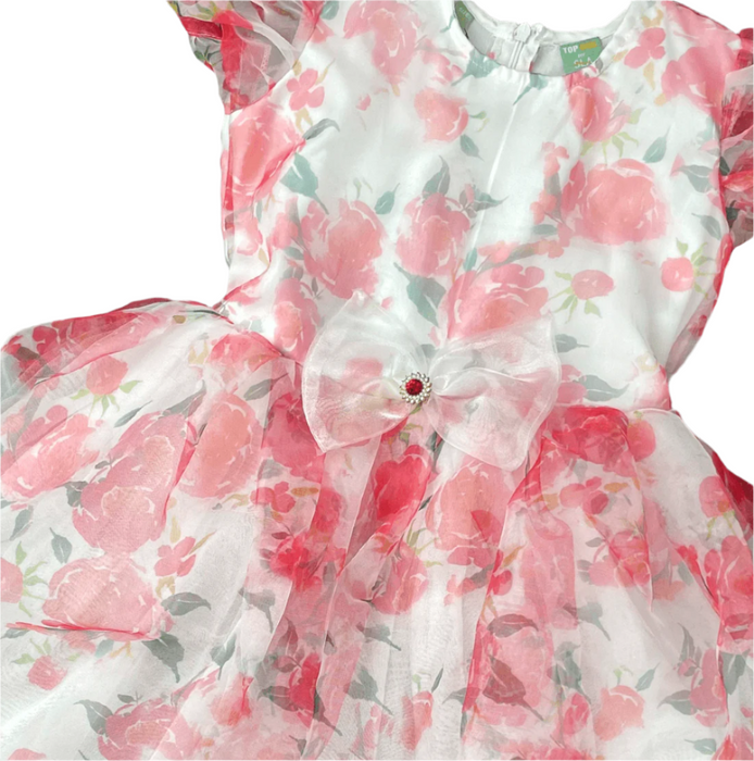 Floral Organza Berry Girls Dress 01