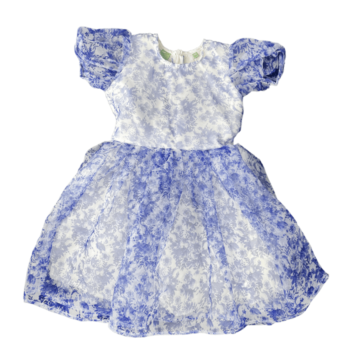 Floral Organza Berry Girls Dress 03