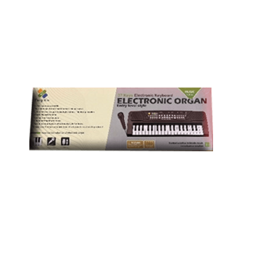 Electronic Organ